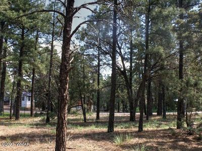 1020 N 35th Ave, Show Low, AZ, 85901