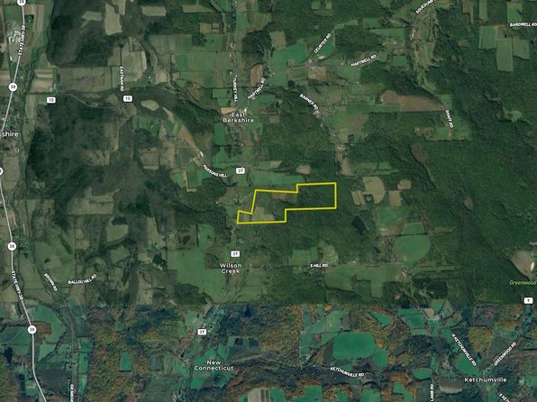 Wp 1 Wilson Creek Rd LOT WP001, Berkshire, NY 13736