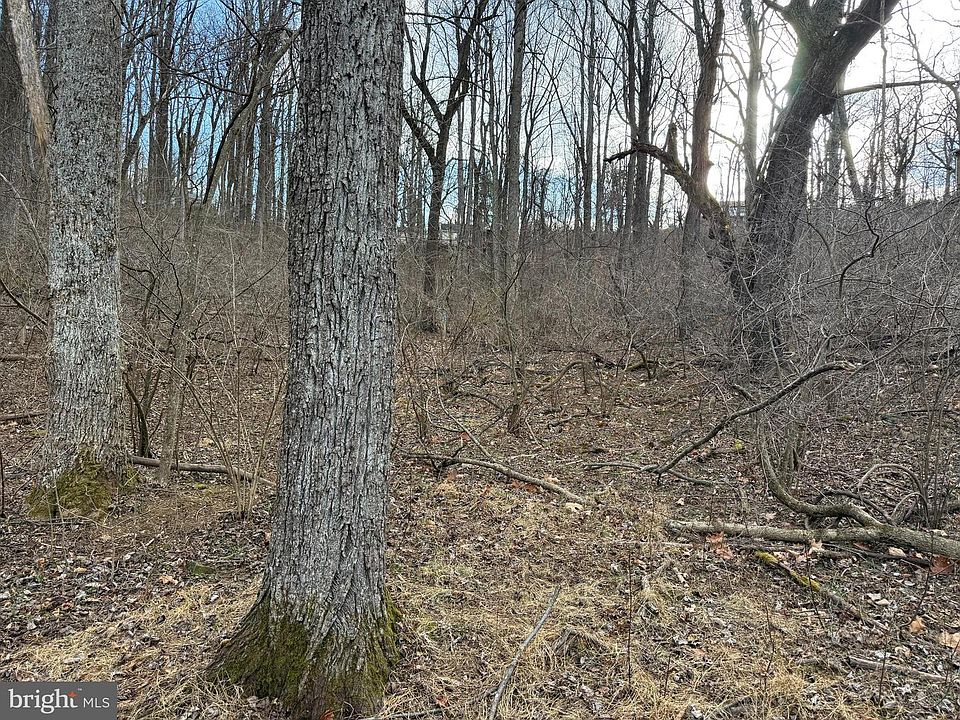 2nd image of 83A Oriole Ct
