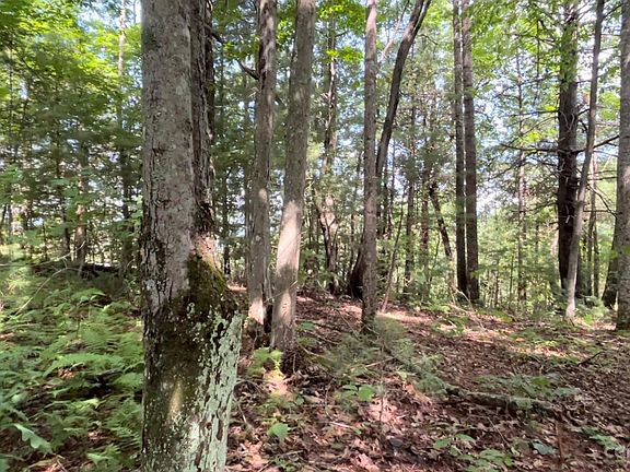 2nd image of 661 Whites Lake Blvd Lot 25R