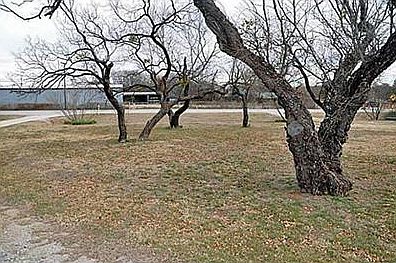 4th image of 3501 N Highway 281