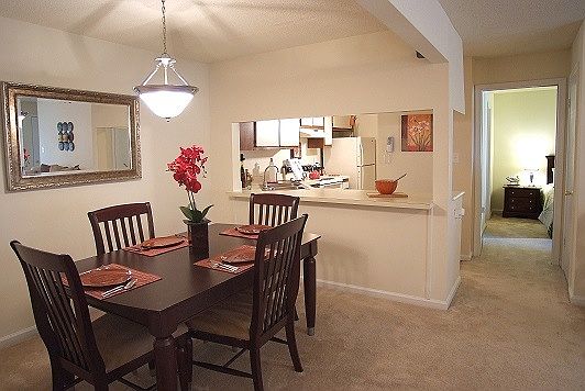 5th image of 217 Crosswinds Dr APT 101