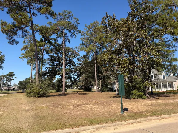 30845 Wild Iris Way #146, Springfield, LA 70462