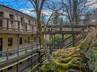 101 Upper Holiday Ln UNIT H233, Beech Mountain, NC 28604