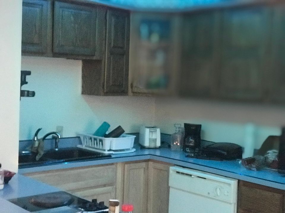 Rear kitchen