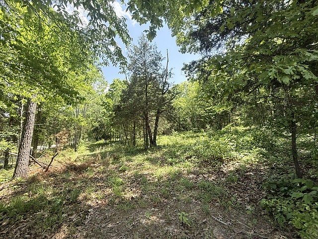 2nd image of 921 Eli Rd