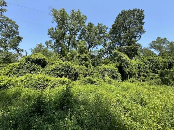 1891 Sample Dr, Woodville, TX 75979