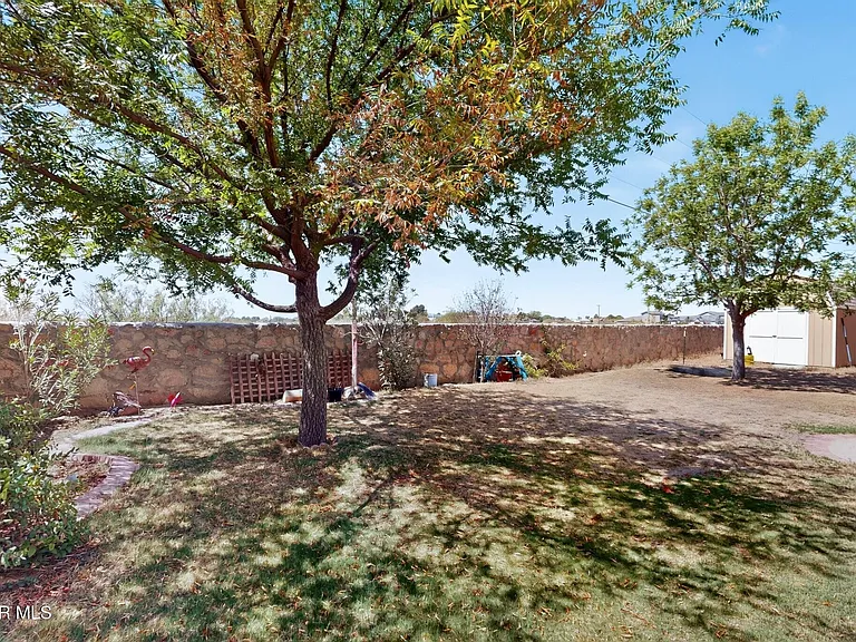 14224 Desert Ash Dr — Photo 55