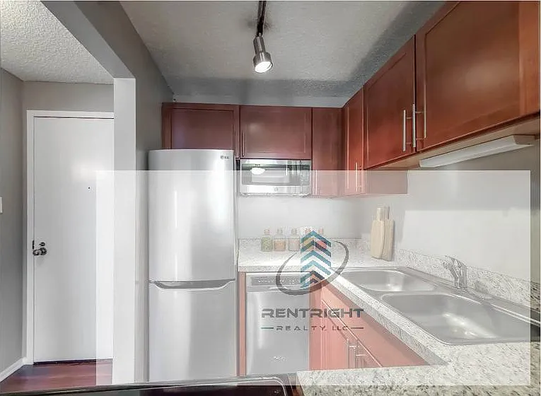 441 E Erie St #4307 — Photo 6