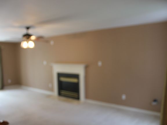 5th image of 8236 Christopher Paul Dr