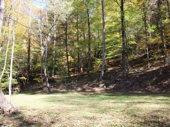 710 Black Mountain Dr, Butler, TN 37640