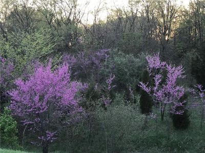 Vines Rd, Kearney, MO, 64060