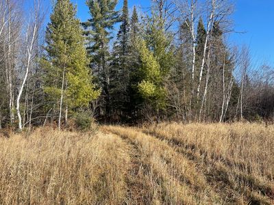 14730 County Road 25, Wawina, MN, 55736