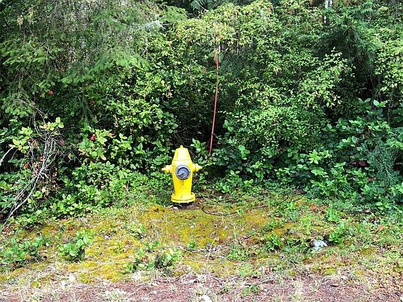 2nd image of 11419 Leschi Circle