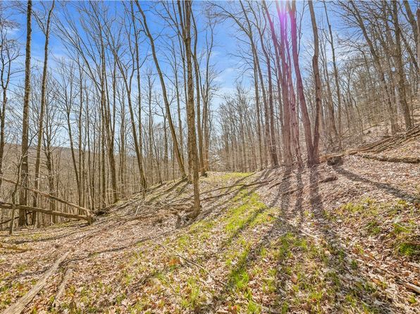 L9114 Lutheranville Rd, East Worcester, NY 12064