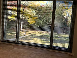 Kitchen window looking to backyard