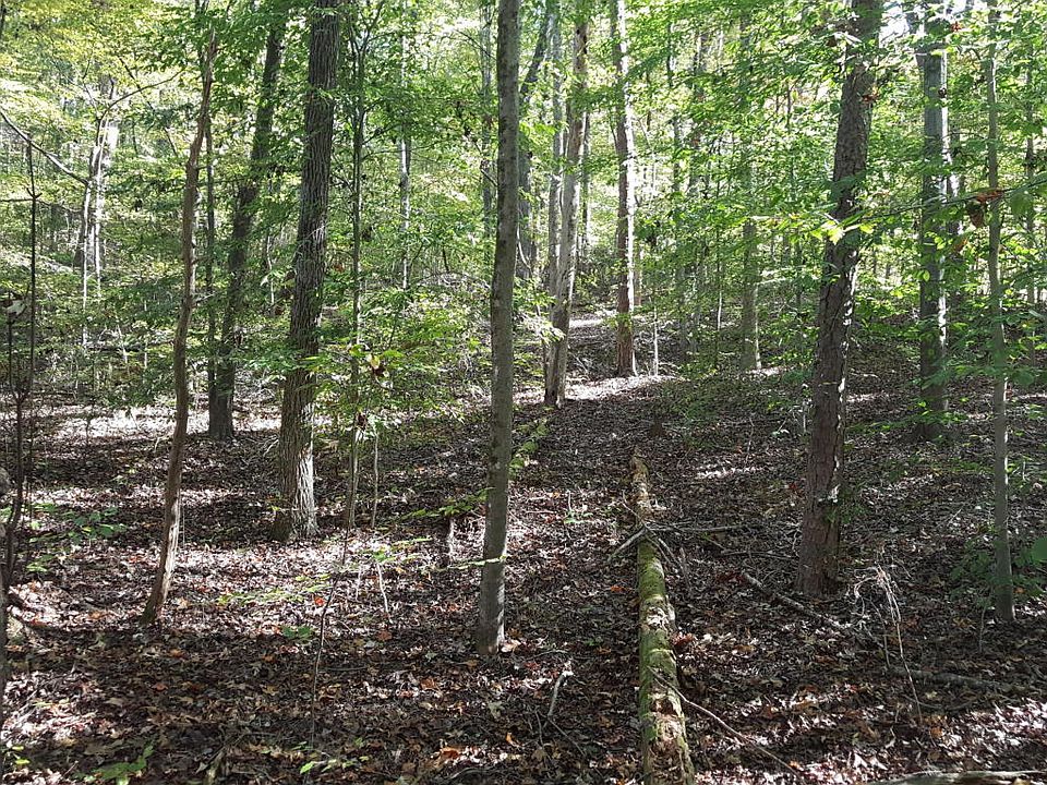 2nd image of 188 Eagle Point Dr