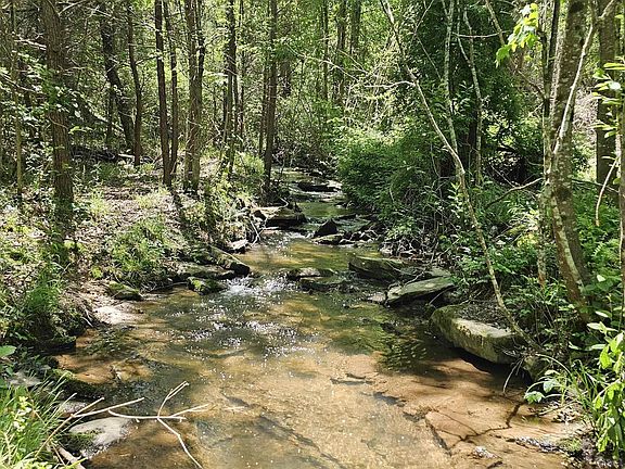 2nd image of 21/ACRE S County Road 361