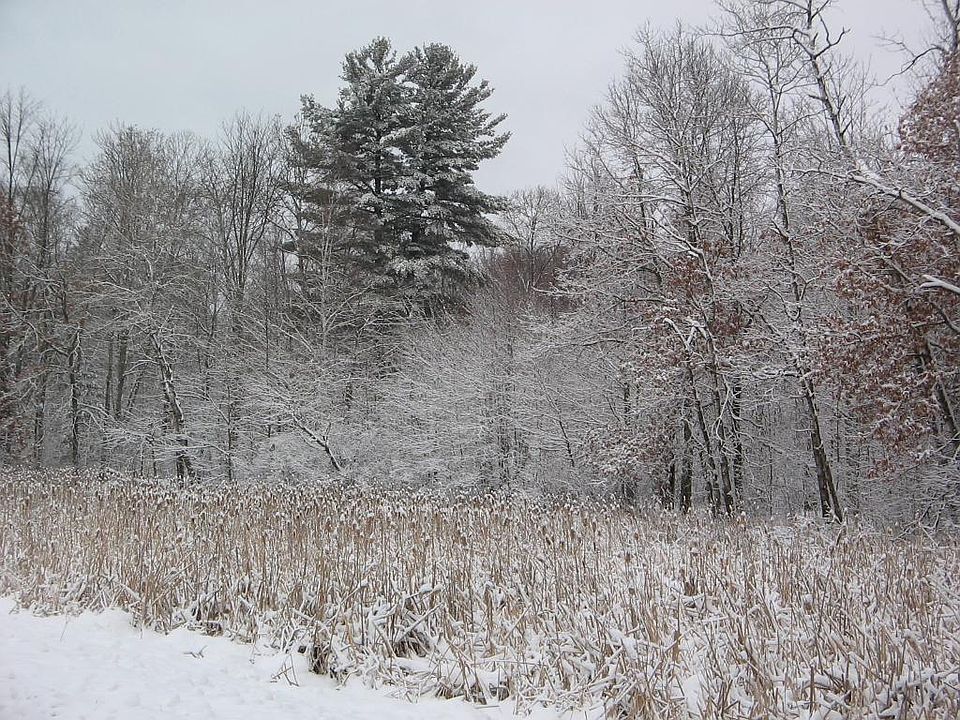 1st image of 0 Spaulding Rd
