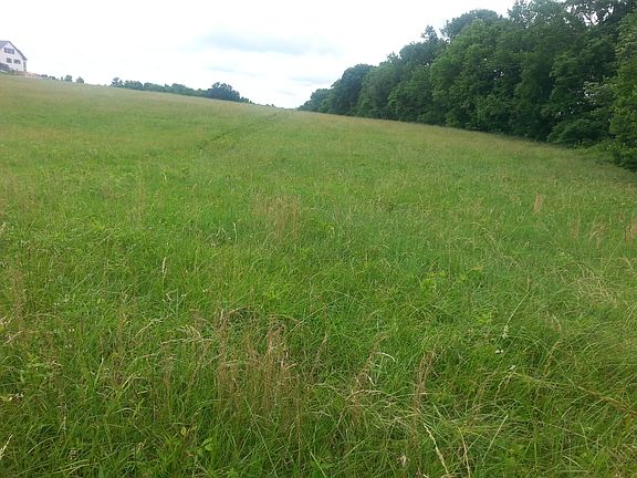 5th image of 6659 Eudailey-covington Road