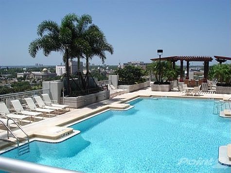 Resort Style Pool