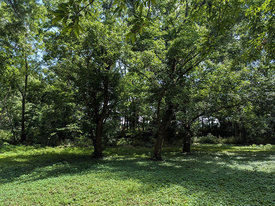 22nd image of 1973 Robinson Union Rd