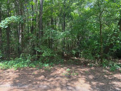 0 Herring Loop Road, Wallace, NC, 28466