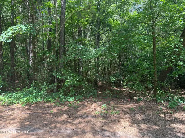 0 Herring Loop Road, Wallace, NC 28466
