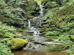 232 County Highway 56, Schenevus, NY 12155