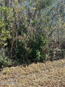 0 Mary Edith St Lot 46, Ocean Springs, MS, 39564