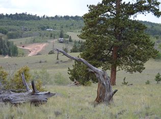 798 Hawk Way, Como, CO 80456