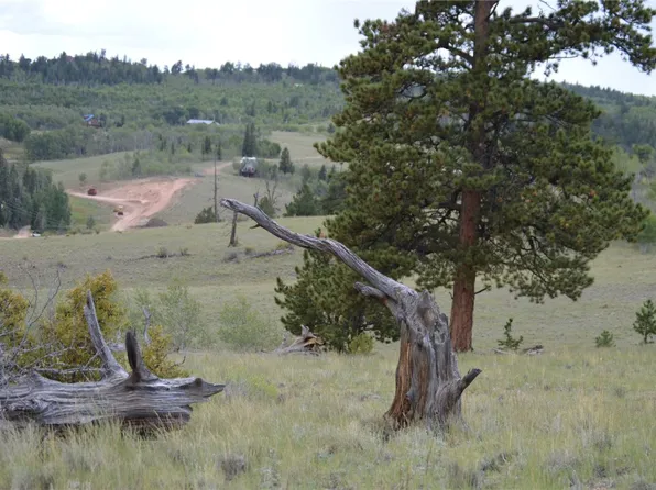 798 Hawk Way, Como, CO 80432