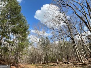 4360 Pool Rd, Winston, GA 30187