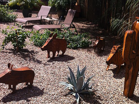 Large desert landscape yard.