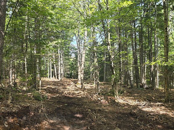 2nd image of 18A Concord Pond Road