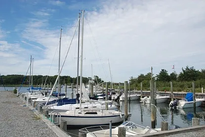 Norfolk Dr — Photo 29