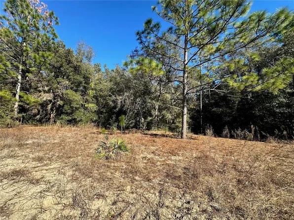 LOT 21 SW 151st Ter Lot 21, Ocala, FL 34481