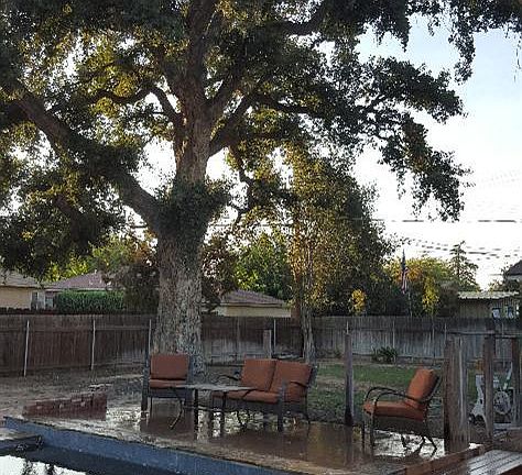 3rd image of 1569 N Farris Ave