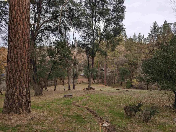 19059 Crocker Station Ln, Groveland, CA 95321