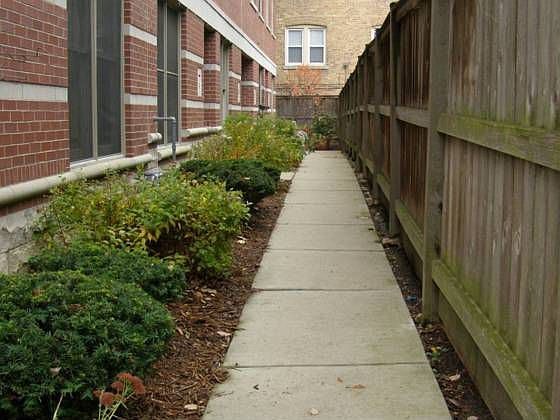 1st image of 100 S Elmwood Ave #7