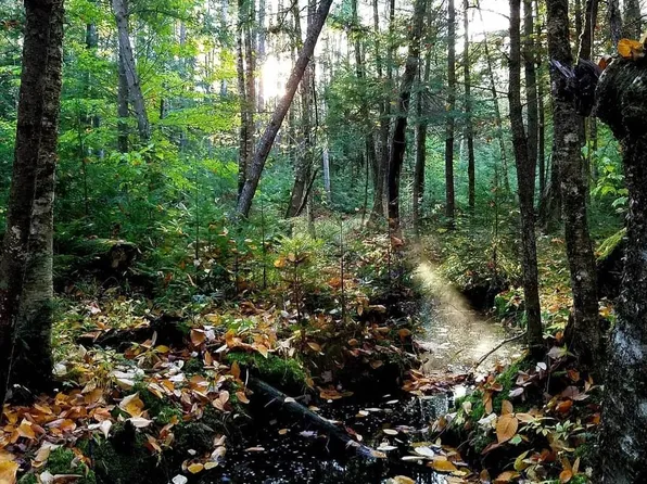 00 Granite Road, Ossipee, NH 03864