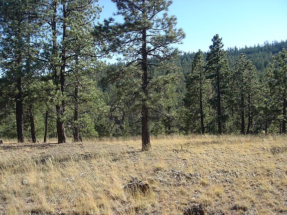 2nd image of Mesquite Lane #2082065333