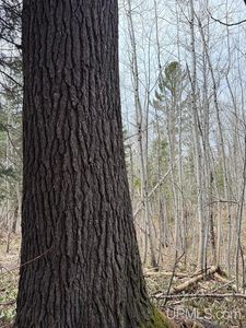 37373 Crooked Rd, Sale Creek, MI, 49916