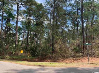 19 Patriot Ct, Georgetown, SC 29440