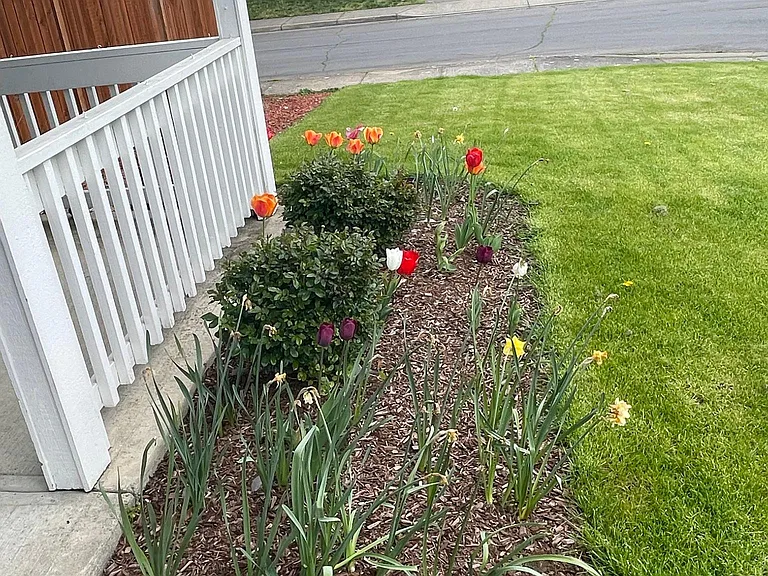 17014 SE 5th St — Photo 3