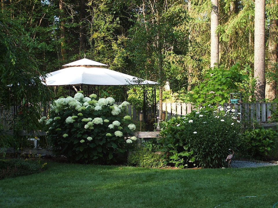 gazebo in back yard
