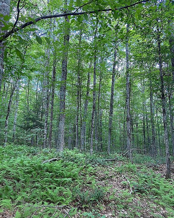 2nd image of 2900 Upper Rd