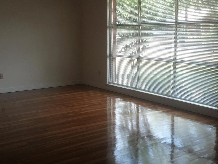 Living Area has a coat closet and dining area