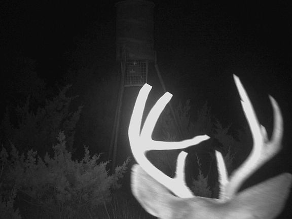 3rd image of TBD SD 45425