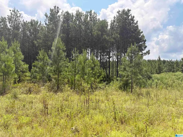 35 Queen Dr #5, Columbiana, AL 35051